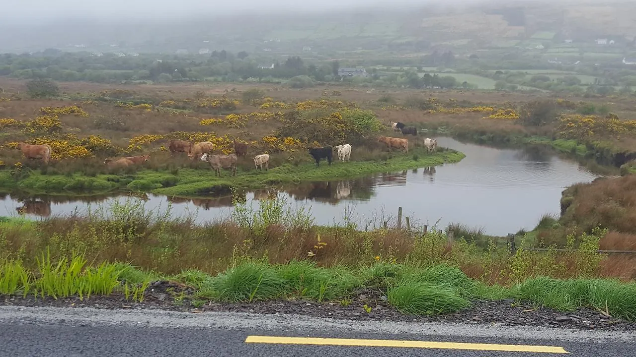 Konukevi Beachcove Lodge Killarney