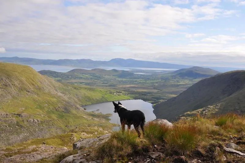 Beachcove Lodge Killarney